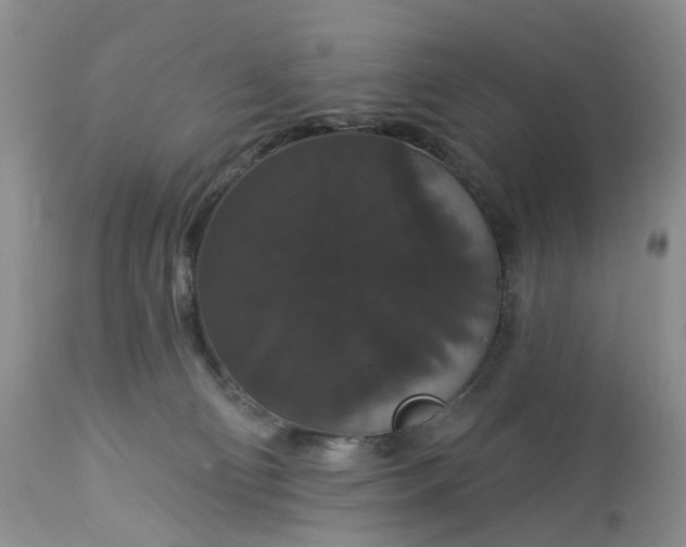 X0000113060130200909110925