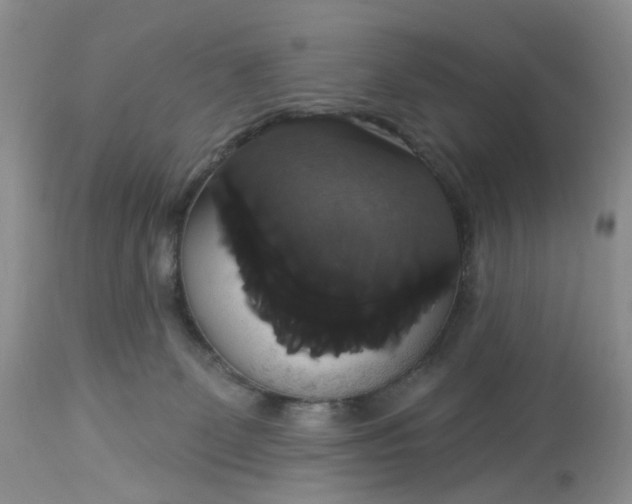 X0000113060131200909110925