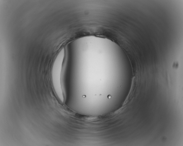 X0000113060132200909110925