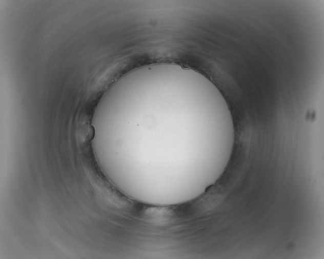 X0000113060133200909110925