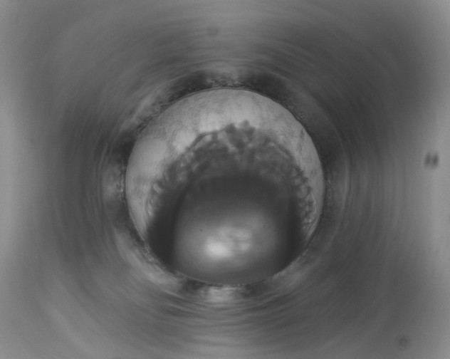 X0000113060134200909110925