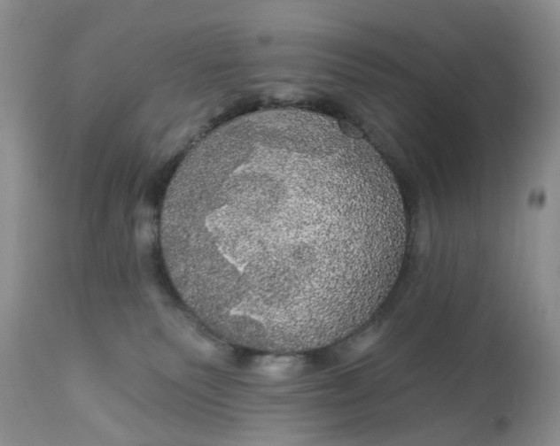 X0000113060135200909110925