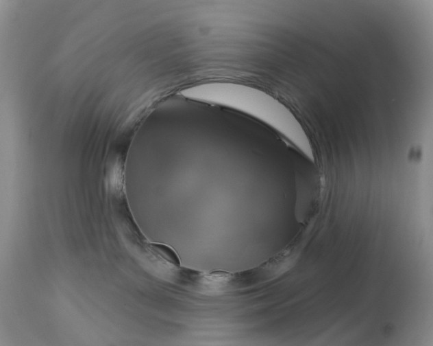 X0000113060143200909110925