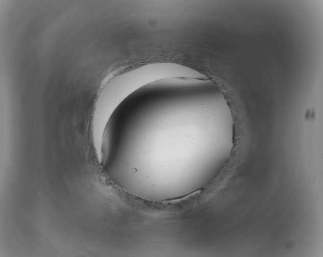 X0000113060144200909110925