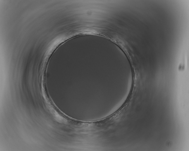 X0000113060145200909110924