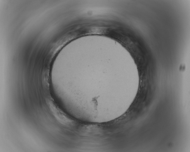 X0000113060146200909110924