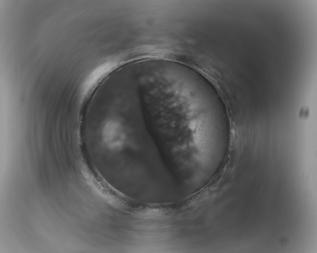 X0000113060149200909110924