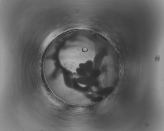 X0000113060151200909110924