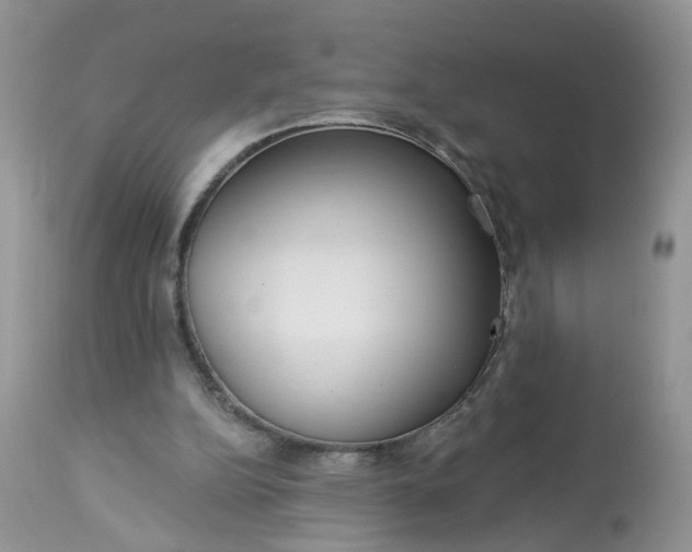 X0000113060152200909110924