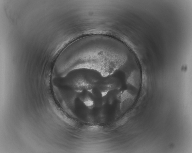 X0000113060153200909110924