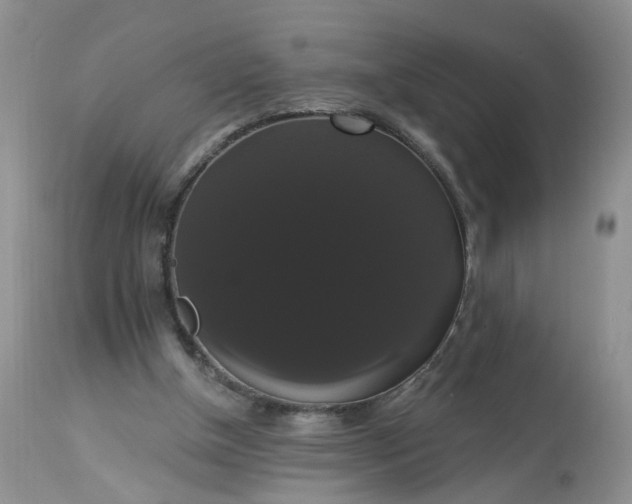 X0000113060154200909110924