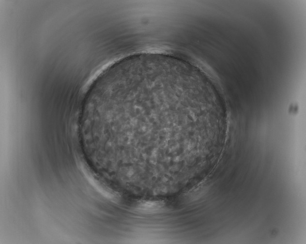 X0000113060155200909110924