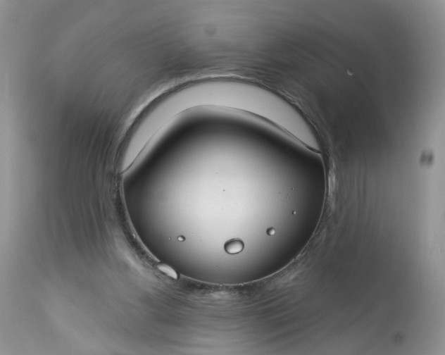 X0000113060156200909110924