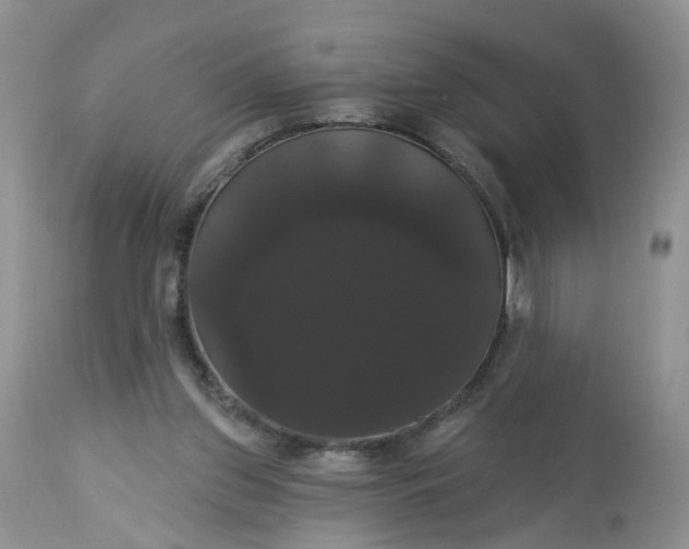 X0000113060157200909110924
