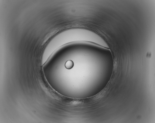 X0000113060158200909110924