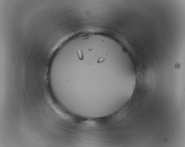 X0000113060159200909110924