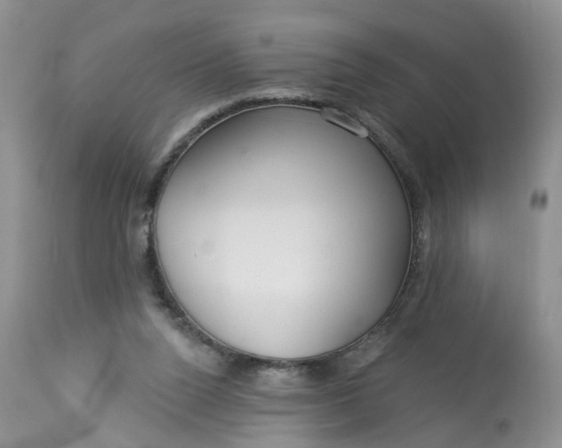 X0000113060160200909110924