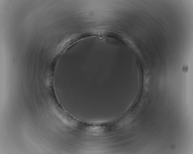 X0000113060161200909110924
