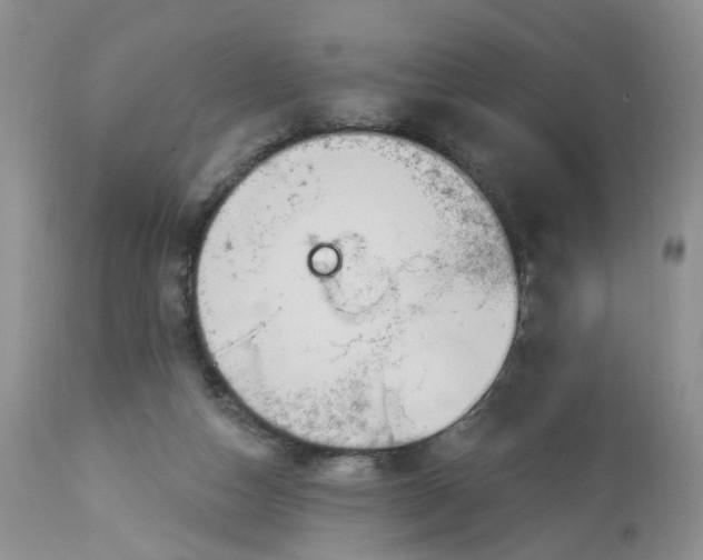 X0000113060162200909110924