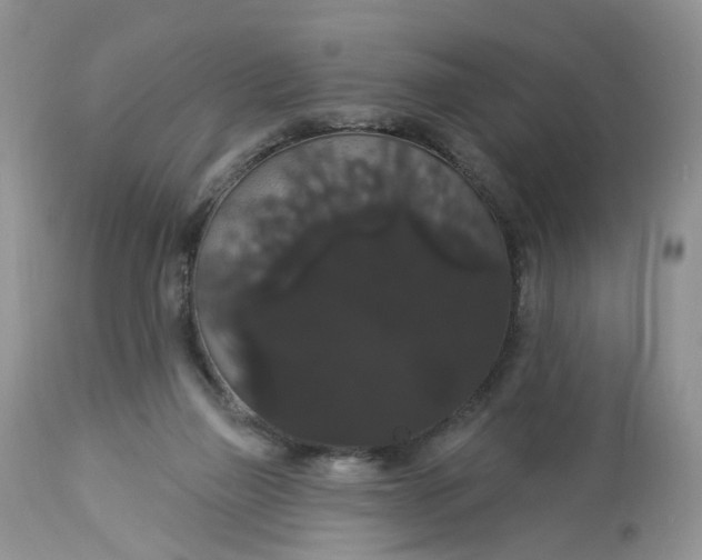 X0000113060165200909110924