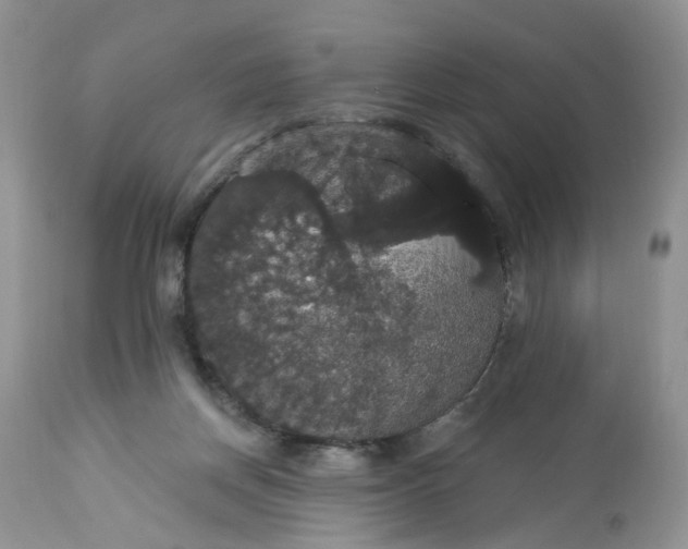 X0000113060166200909110924