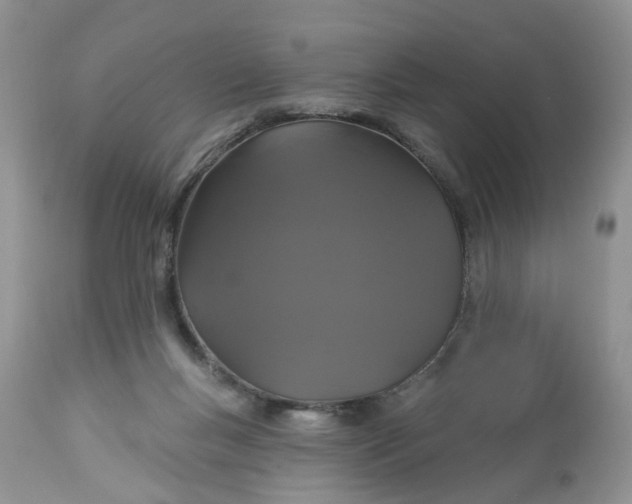 X0000113060167200909110924