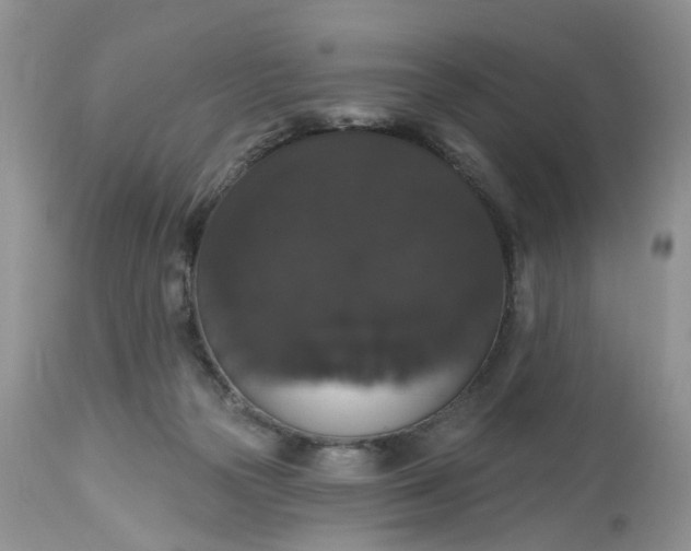 X0000113060169200909110924