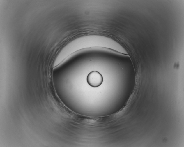 X0000113060170200909110924