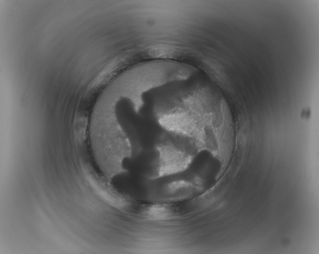 X0000113060171200909110924