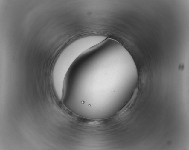 X0000113060172200909110924
