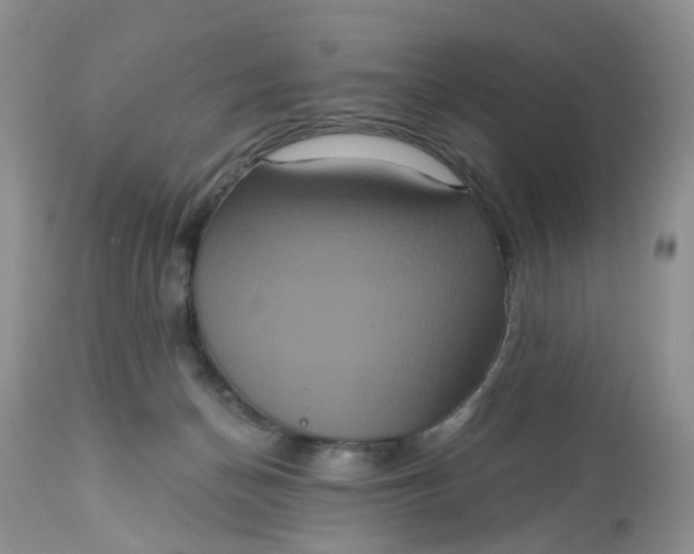 X0000113060174200909110924