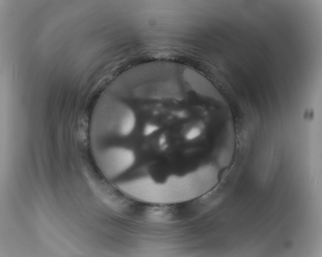 X0000113060175200909110924