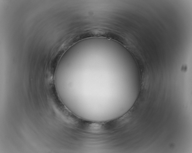 X0000113060176200909110924