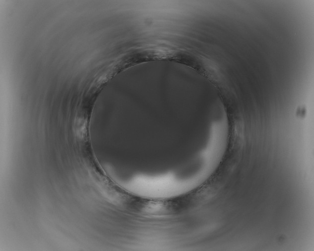 X0000113060177200909110924