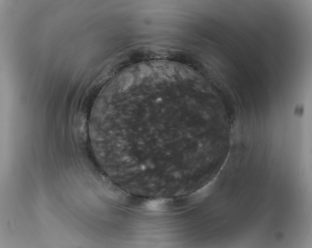 X0000113060178200909110924