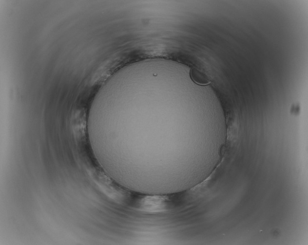 X0000113060179200909110924