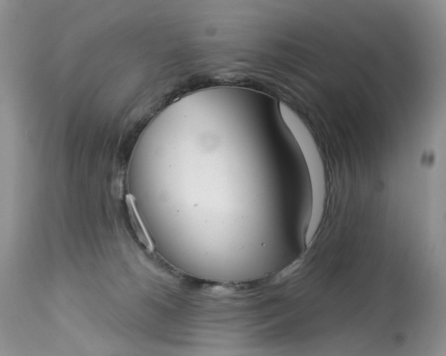 X0000113060180200909110925