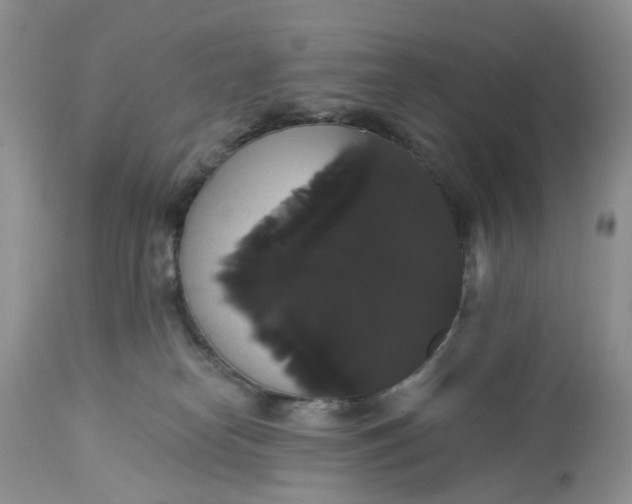 X0000113060182200909110925