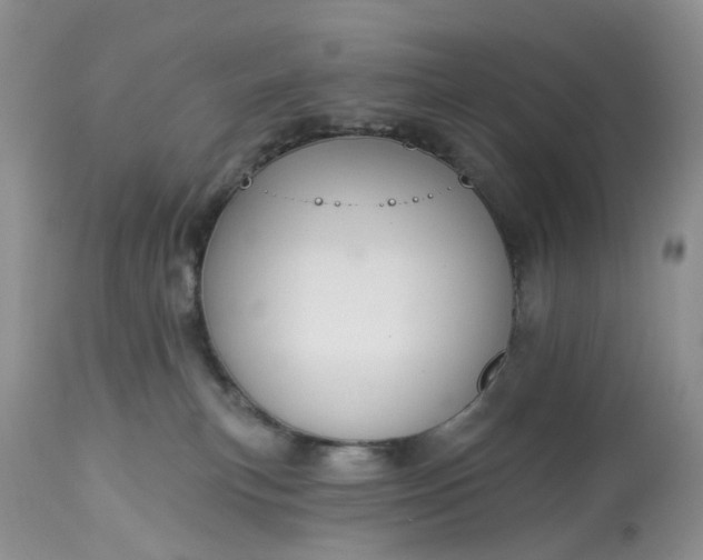 X0000113060183200909110925
