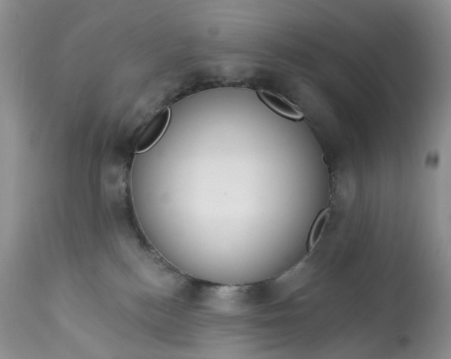 X0000113060184200909110925
