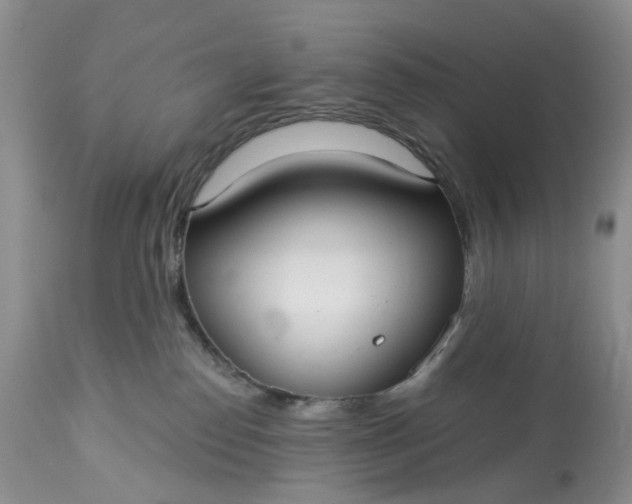 X0000113060186200909110925
