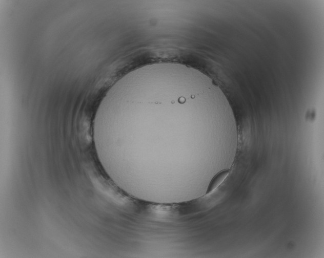 X0000113060187200909110925