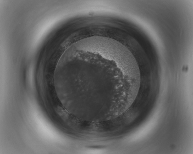 X0000113060189200909110925