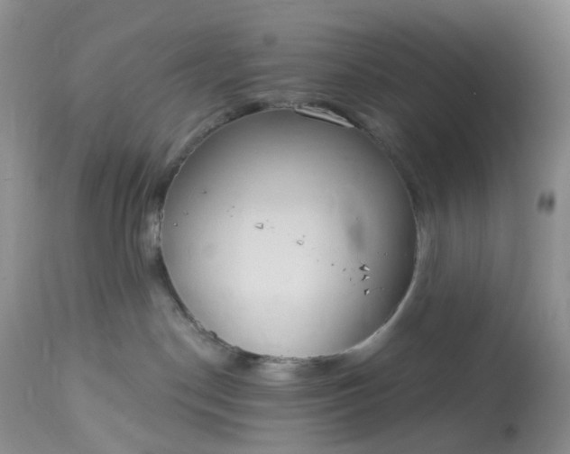 X0000113060190200909110925