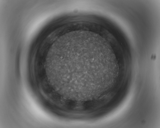 X0000113060191200909110925