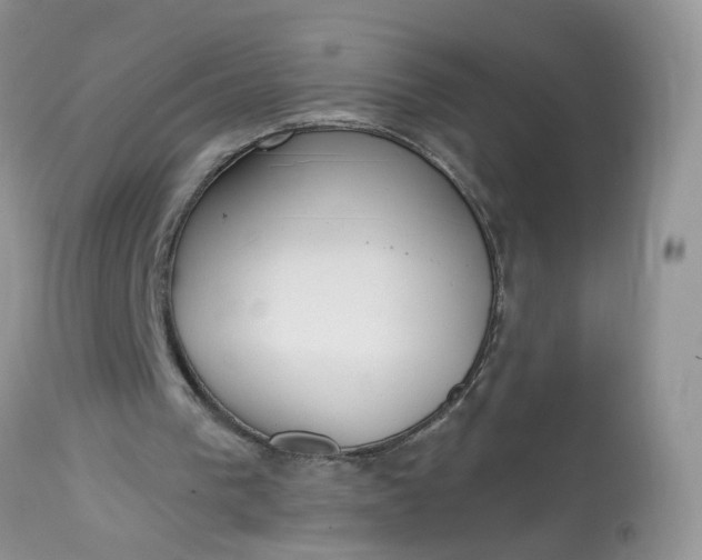 X0000113060193200909110924