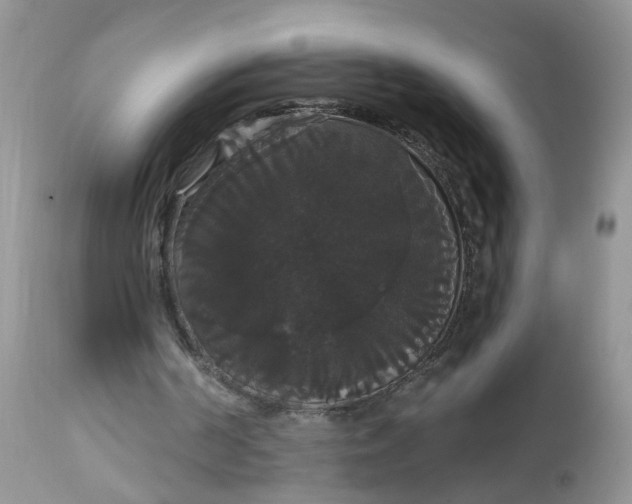X0000113060194200909110924