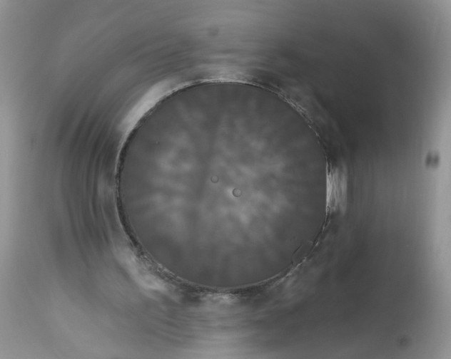 X0000113060195200909110924