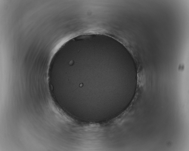 X0000113060196200909110924