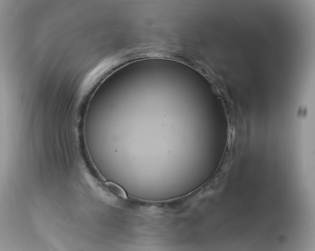 X0000113060197200909110924